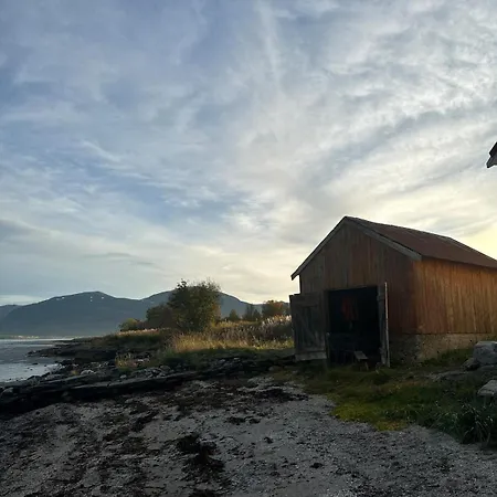 Arctic Serenity トロムソ